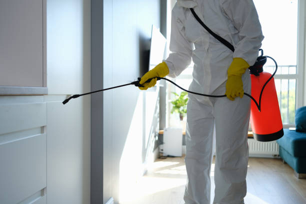 Certified Mold Removal in Sterling, IL